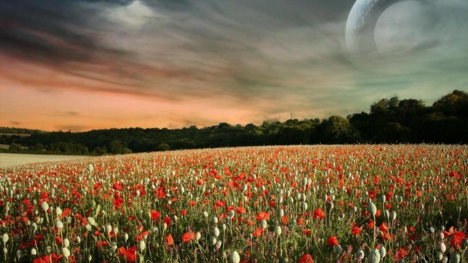 跨平台GUI框架到底应该自绘还是原生控件绑定?